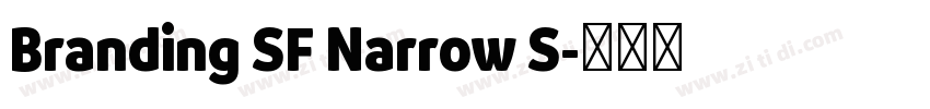 Branding SF Narrow S字体转换